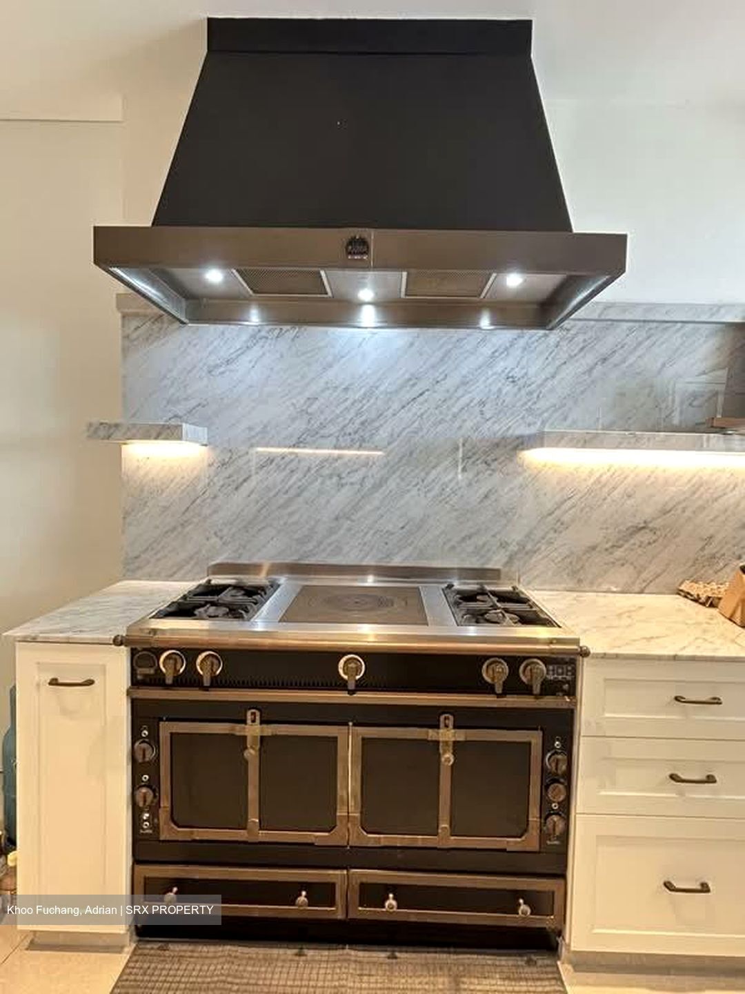 Cairnhill Plaza (D9), Apartment #600609221